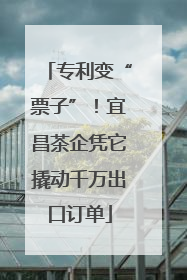 专利变“票子”！宜昌茶企凭它撬动千万出口订单