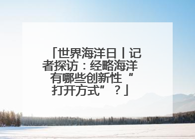 世界海洋日丨记者探访：经略海洋 有哪些创新性“打开方式”？