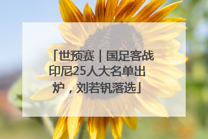 世预赛｜国足客战印尼25人大名单出炉，刘若钒落选