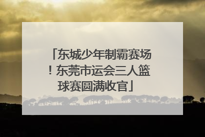 东城少年制霸赛场！东莞市运会三人篮球赛圆满收官