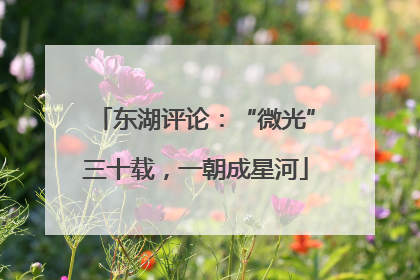 东湖评论：“微光”三十载，一朝成星河