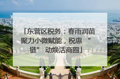 东营区税务：春雨润苗聚力小微赋能，税惠 “链” 动焕活商圈