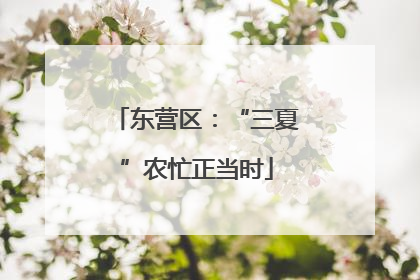 东营区：“三夏”农忙正当时