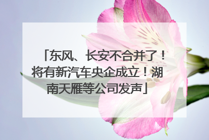 东风、长安不合并了！将有新汽车央企成立！湖南天雁等公司发声