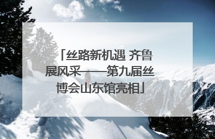 丝路新机遇 齐鲁展风采——第九届丝博会山东馆亮相