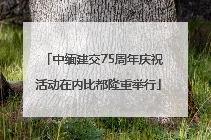 中缅建交75周年庆祝活动在内比都隆重举行