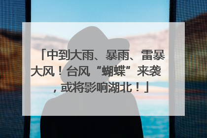中到大雨、暴雨、雷暴大风！台风“蝴蝶”来袭，或将影响湖北！
