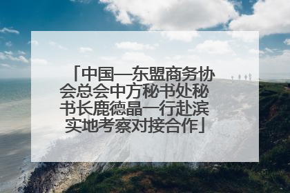 中国—东盟商务协会总会中方秘书处秘书长鹿德晶一行赴滨实地考察对接合作