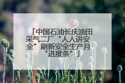 中国石油长庆油田采气二厂“人人讲安全”刷新安全生产月“进度条”