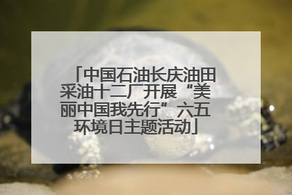 中国石油长庆油田采油十二厂开展“美丽中国我先行”六五环境日主题活动
