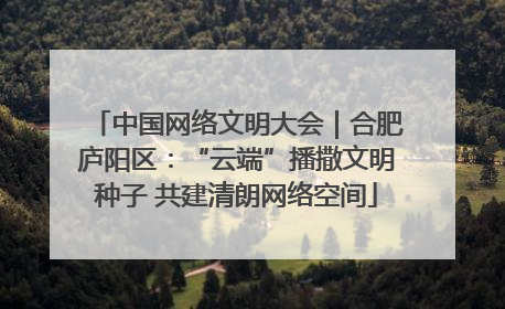 中国网络文明大会｜合肥庐阳区：“云端”播撒文明种子 共建清朗网络空间