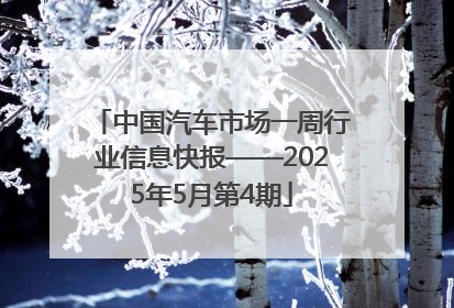 中国汽车市场一周行业信息快报——2025年5月第4期