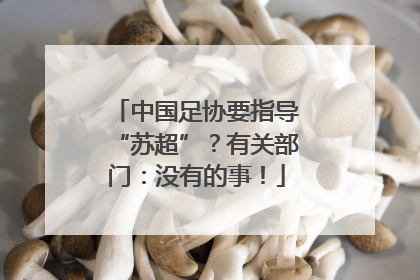 中国足协要指导“苏超”？有关部门：没有的事！