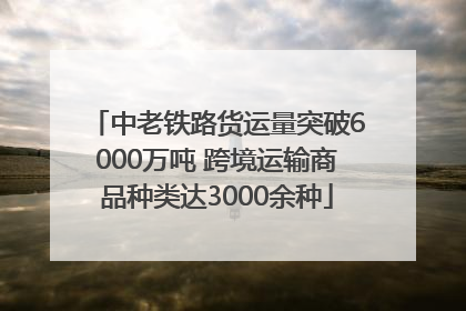 中老铁路货运量突破6000万吨 跨境运输商品种类达3000余种