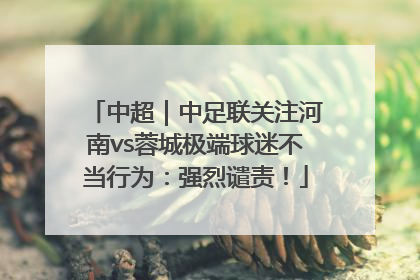 中超｜中足联关注河南vs蓉城极端球迷不当行为：强烈谴责！