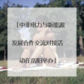 中非电力与新能源发展合作交流对接活动在岳阳举办