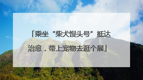乘坐“柴犬馒头号”抵达治愈，带上宠物去逛个展