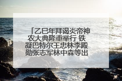 乙巳年拜谒炎帝神农大典隆重举行 铁凝巴特尔王忠林李殿勋张志军林中森等出席 孙伟主持