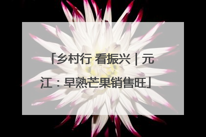 乡村行 看振兴｜元江：早熟芒果销售旺