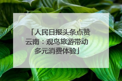 人民日报头条点赞云南：观鸟旅游带动多元消费体验
