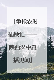 争抢农时插秧忙——陕西汉中夏播见闻