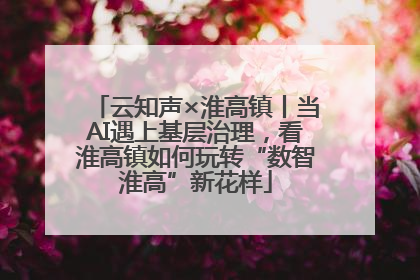 云知声×淮高镇丨当AI遇上基层治理，看淮高镇如何玩转“数智淮高”新花样