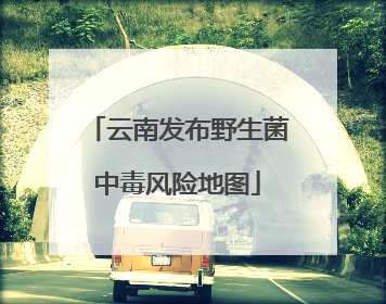 云南发布野生菌中毒风险地图