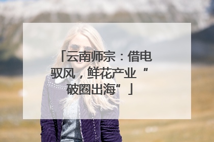 云南师宗：借电驭风，鲜花产业“破圈出海”