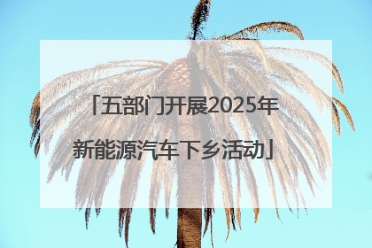 五部门开展2025年新能源汽车下乡活动