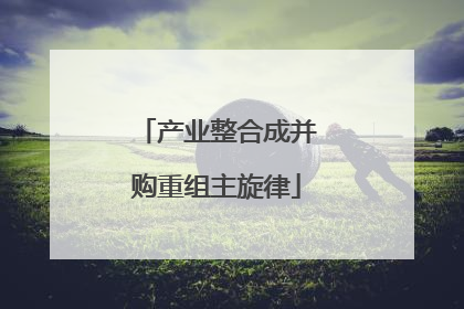 产业整合成并购重组主旋律