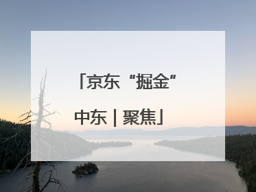 京东“掘金”中东｜聚焦