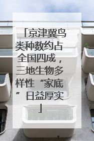 京津冀鸟类种数约占全国四成，三地生物多样性“家底”日益厚实