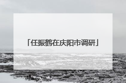 任振鹤在庆阳市调研