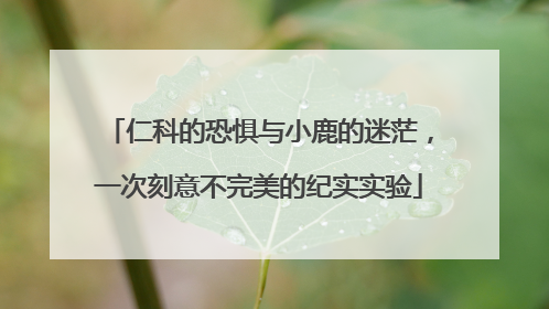 仁科的恐惧与小鹿的迷茫，一次刻意不完美的纪实实验