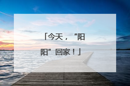 今天，“阳阳”回家！