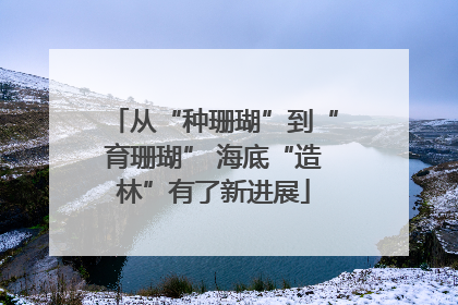 从“种珊瑚”到“育珊瑚” 海底“造林”有了新进展