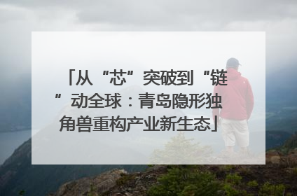 从“芯”突破到“链”动全球：青岛隐形独角兽重构产业新生态