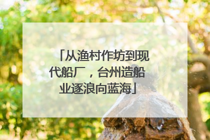 从渔村作坊到现代船厂，台州造船业逐浪向蓝海