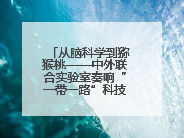 从脑科学到猕猴桃——中外联合实验室奏响“一带一路”科技合作交响曲