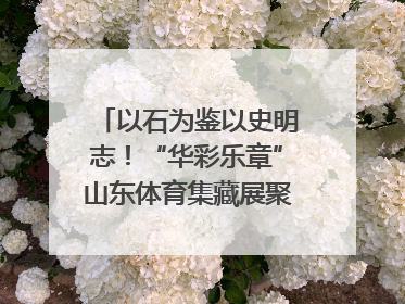以石为鉴以史明志！“华彩乐章”山东体育集藏展聚焦“岱石丹心”