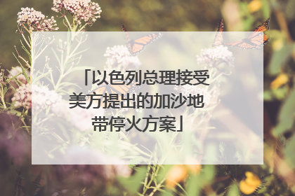 以色列总理接受美方提出的加沙地带停火方案