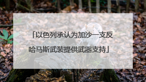 以色列承认为加沙一支反哈马斯武装提供武器支持