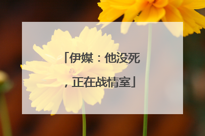 伊媒：他没死，正在战情室