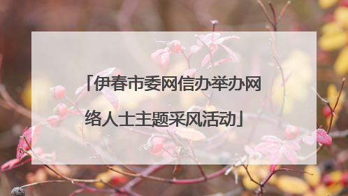 伊春市委网信办举办网络人士主题采风活动