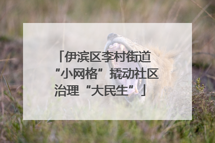 伊滨区李村街道 “小网格”撬动社区治理“大民生”