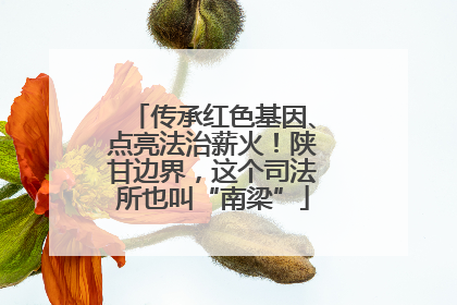 传承红色基因、点亮法治薪火！陕甘边界，这个司法所也叫“南梁”