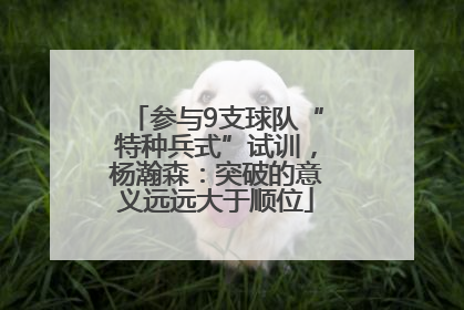参与9支球队“特种兵式”试训，杨瀚森：突破的意义远远大于顺位