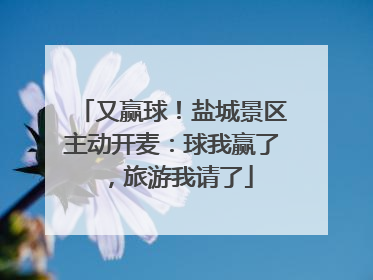 又赢球！盐城景区主动开麦：球我赢了，旅游我请了