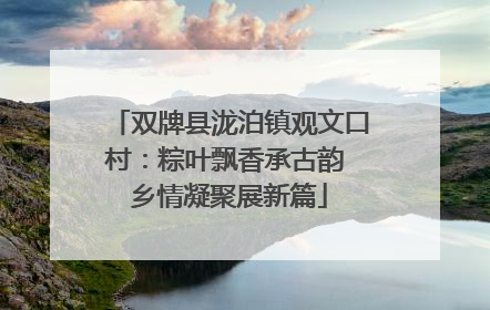 双牌县泷泊镇观文口村：粽叶飘香承古韵 乡情凝聚展新篇