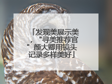 发现美展示美，“寻美推荐官”颜大卿用镜头记录多样美好